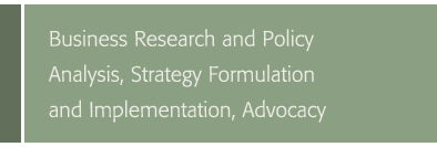  Japan Business Strategy Government Relations
